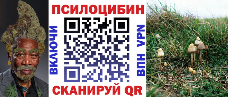 Галлюциногенные грибы MAGIC MUSHROOMS  что такое наркотик  Евпатория 