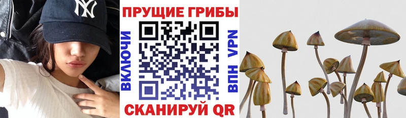 Псилоцибиновые грибы мухоморы Евпатория